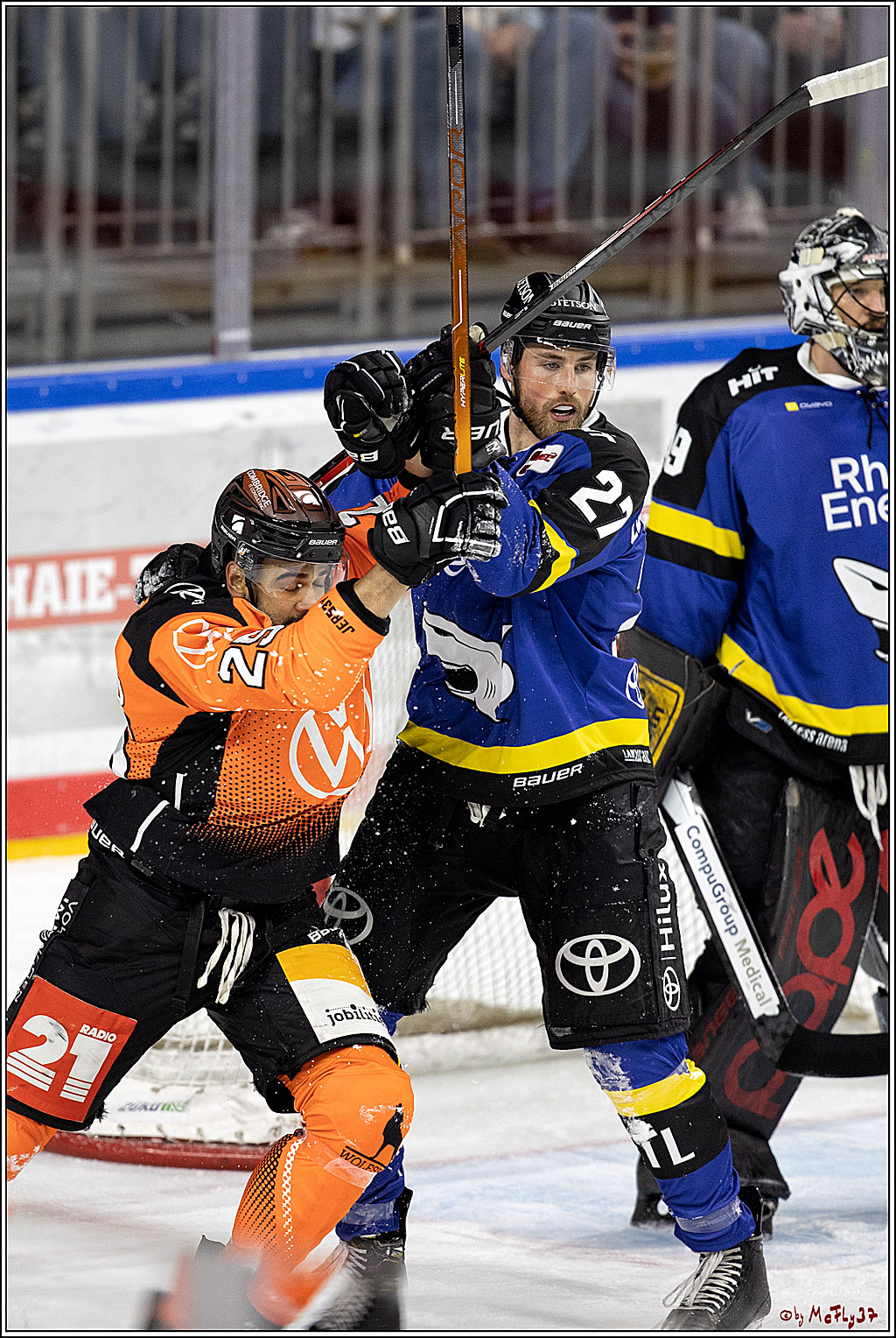 PENNY DEL;  Koelner Haie - Grizzlys Wolfsburg; Koeln, 25.11.2021